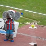 Catania vs Casertana