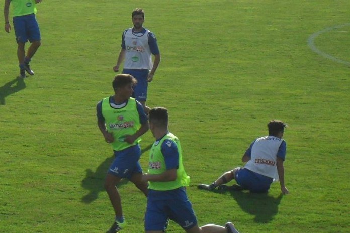 Tino Parisi