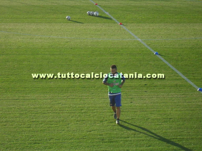 Rosario Bucolo