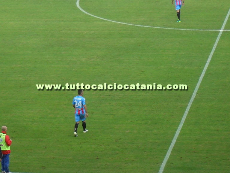 Domenico Di Cecco
