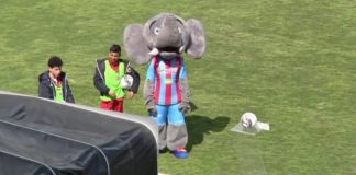 La mascotte del Catania