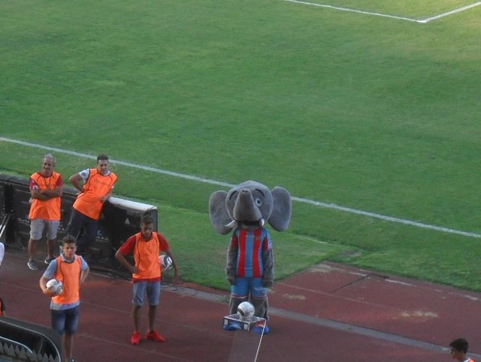 Mascotte Calcio Catania