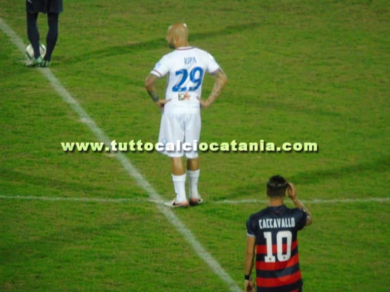 Francesco Ripa