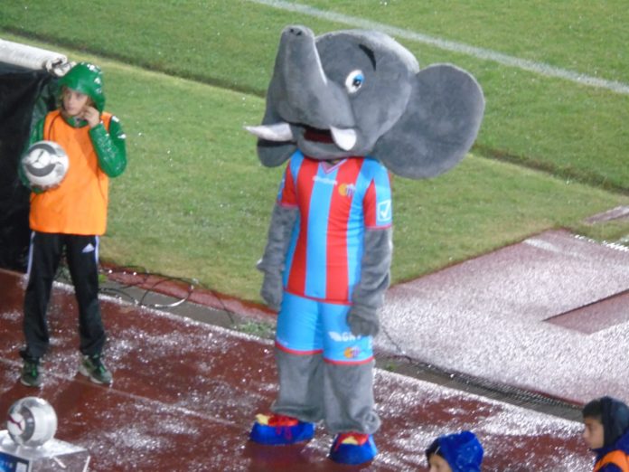 Mascotte Calcio Catania