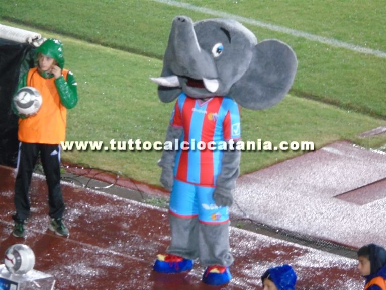 Mascotte Calcio Catania