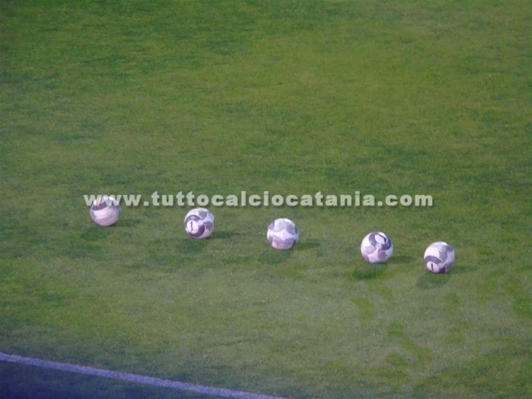 Palloni calcio