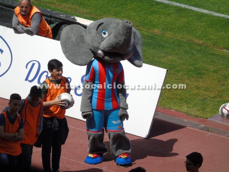 Mascotte Catania