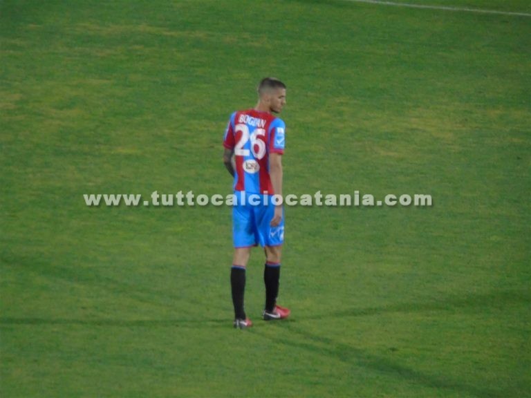 Luka Bogdan