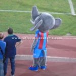 Mascotte Calcio Catania