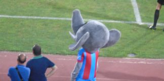 Mascotte Calcio Catania