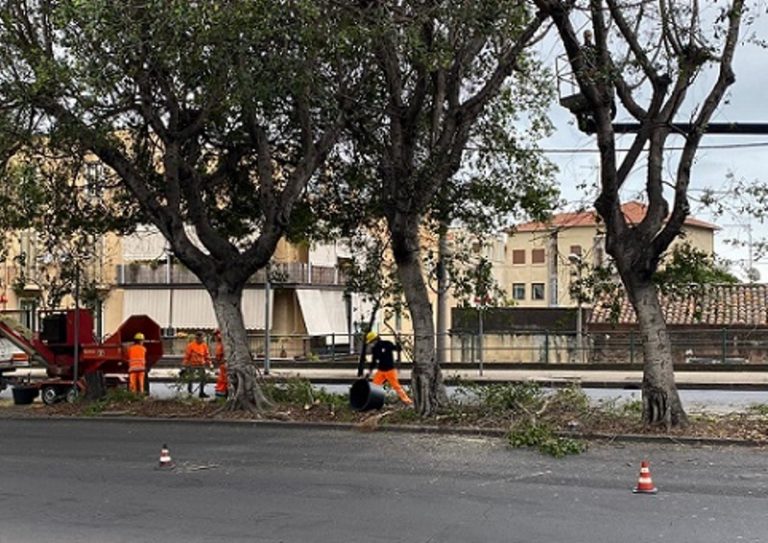CORONAVIRUS A CATANIA: circonvallazione, ripresi i lavori per la sicurezza del verde