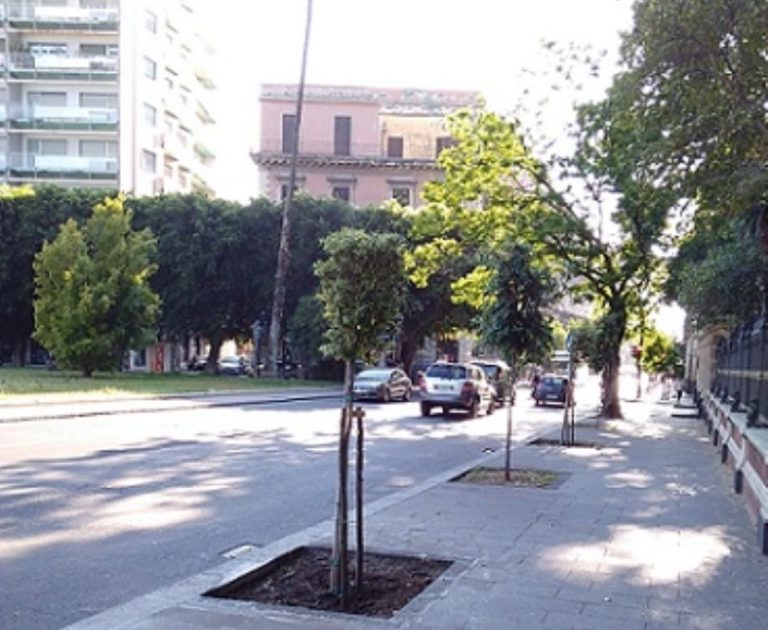 CORONAVIRUS A CATANIA: 2000 nuovi alberi per la città
