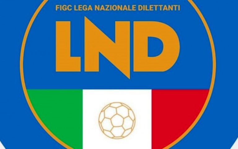 LEGA DILETTANTI: Direttivo propone la promozione del Palermo e delle altre prime classificate