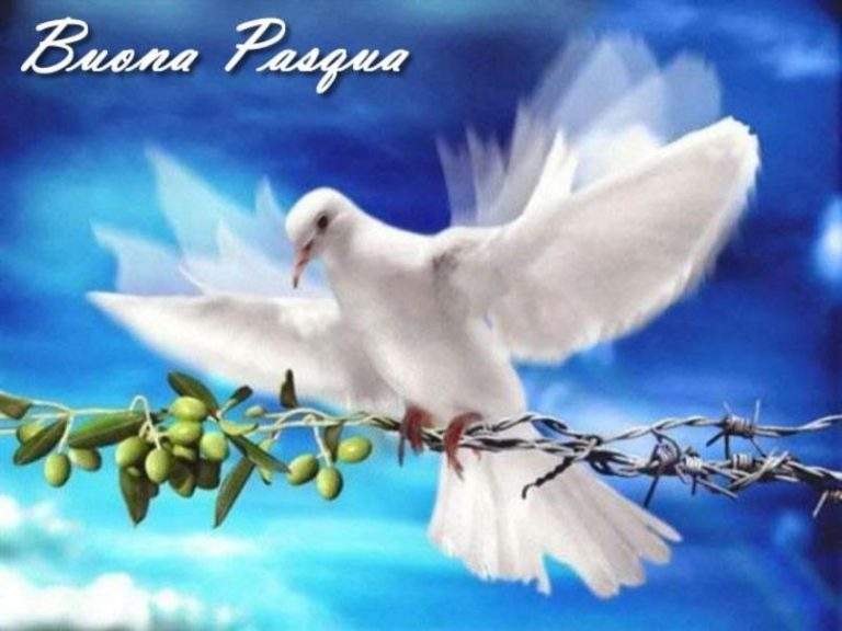 BUONA PASQUA: auguri dalla nostra redazione
